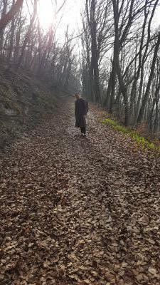 Im Winter in der Hainleite anschauen