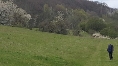 Blütenwanderung an der Wipper anschauen