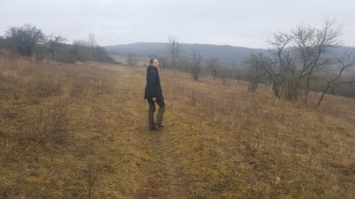 In der Hainleite anschauen